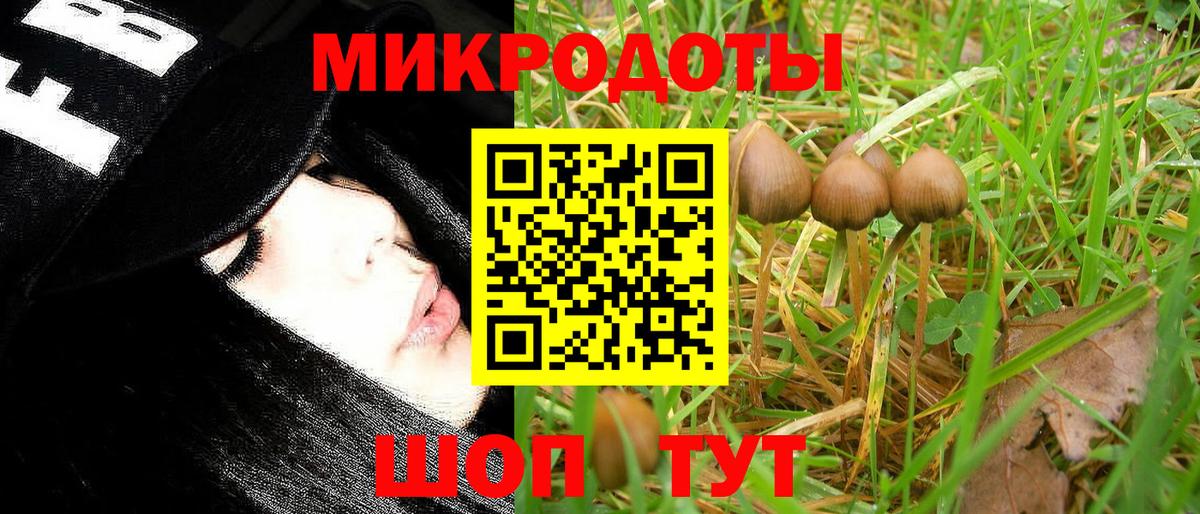 Псилоцибиновые грибы Psilocybine cubensis Чернушка