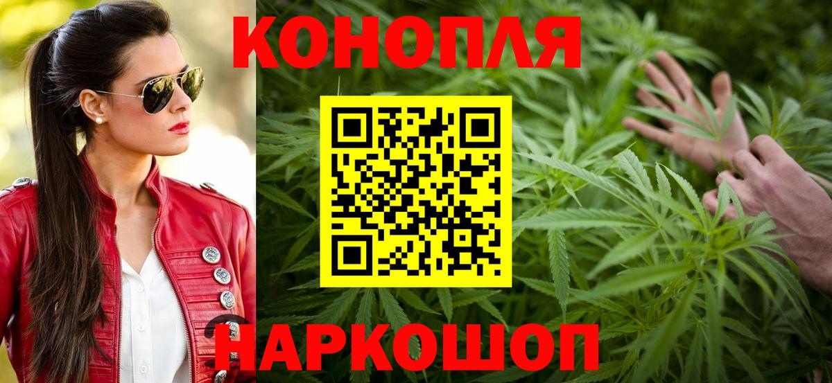 Канабис конопля  Вход с VPN  Марихуана сатива  Каннабис ГИДРОПОН  Чернушка 